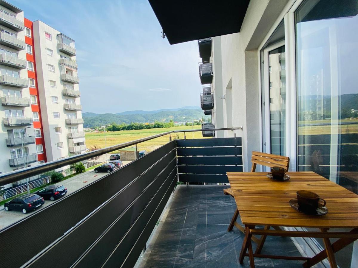 Stay In Brasov Feel Like Home エクステリア 写真