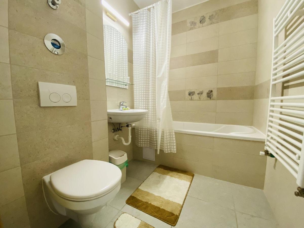 Stay In Brasov Feel Like Home エクステリア 写真